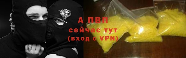 эйфоретик Богданович
