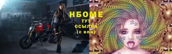 эйфоретик Богданович